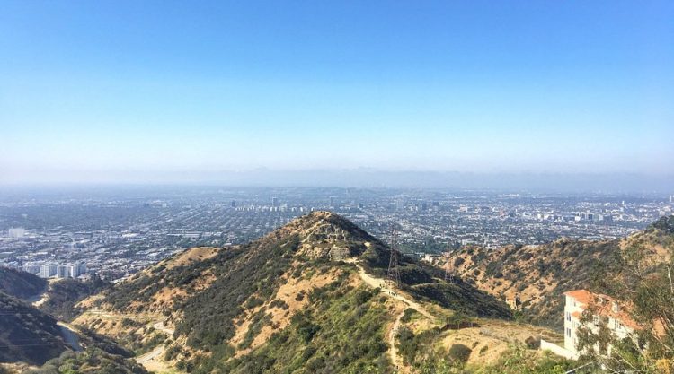 Runyon Canyon Park: Hollywood’s Urban Oasis for Hikers, Dreamers, and Dogs