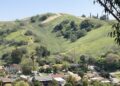 Elephant Hill Open Space: Los Angeles’s Hidden Wilderness and the Community Fighting to Protect It