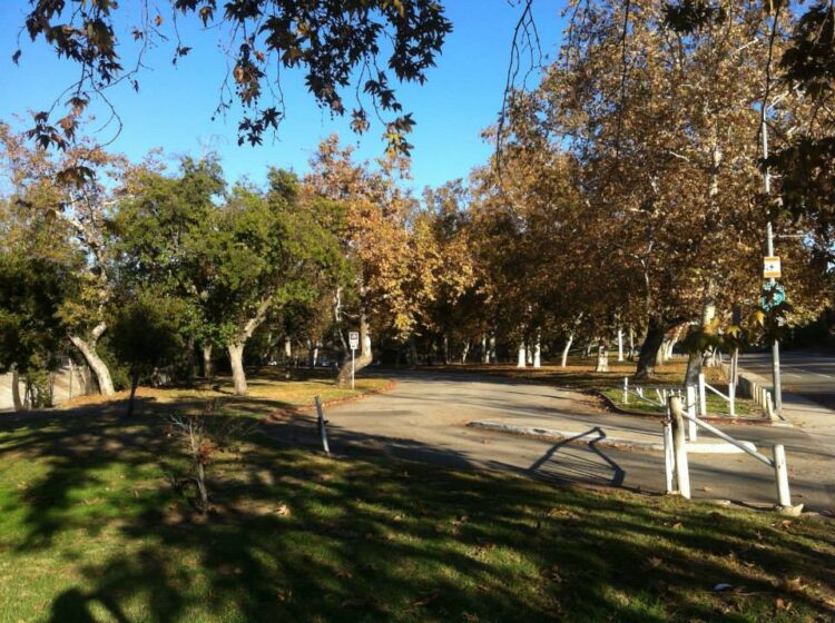 Hermon Park: A Hidden Gem Where Olympic History Meets Neighborhood Heart