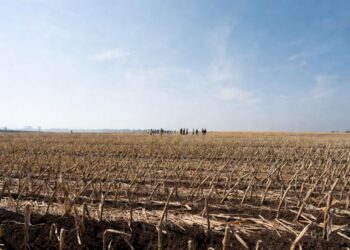 Nobody Asked the Farmers: How a War in Iran Is Starving California Agriculture