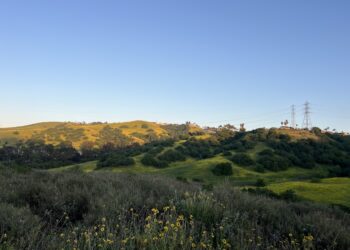 Powder Canyon: Southern California’s Best-Kept Secret in the Hills Above the Sprawl
