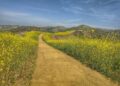 Sycamore Canyon Trailhead: Where the Santa Monica Mountains Meet the Sea